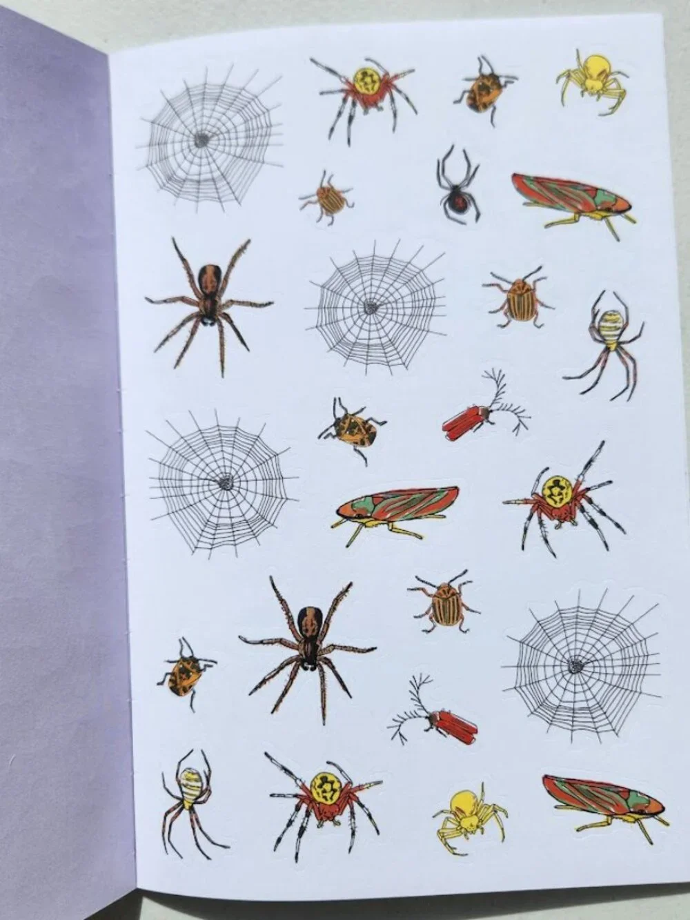Nature Anatomy Sticker Book Julia Rothman 750 Stickers birds, feathers, wildflow
